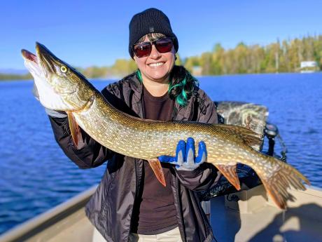 Northern Pike