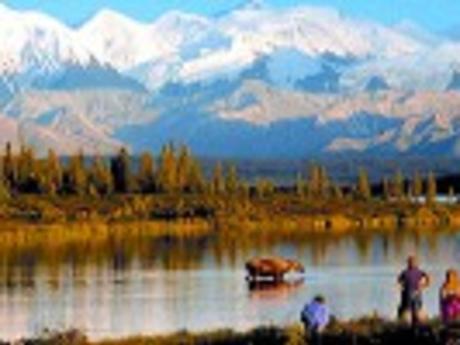 Alaska Denali Tours