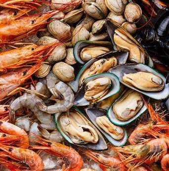 Feria del Marisco y Frutos del Mar