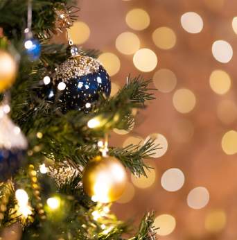 Festival Internacional de Navidad