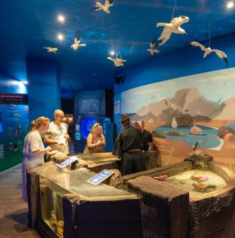 Sea Life Benalmádena