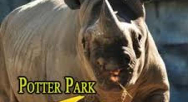 Seasonal Animal Care Worker at Potter Park Zoo