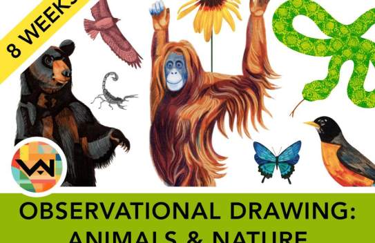Observational Drawing: Animals and Nature (Ages 12+)