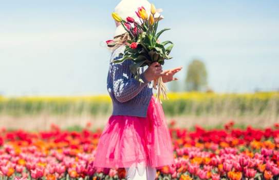 Utah Tulip Festival 2026