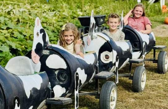 Glen Ray's Corn Maze and Pumpkin Patch 2026