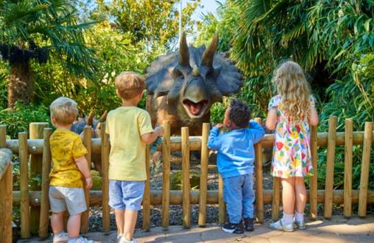 Zooper Summer Holidays at Drusillas!
