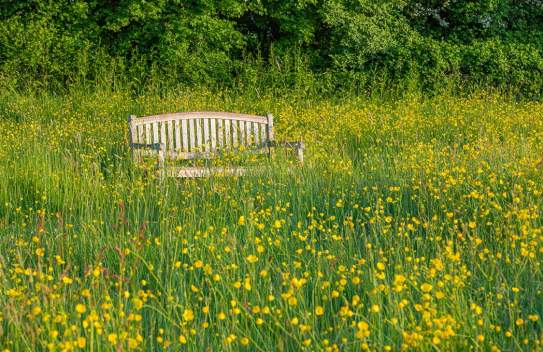 Bates Green Garden