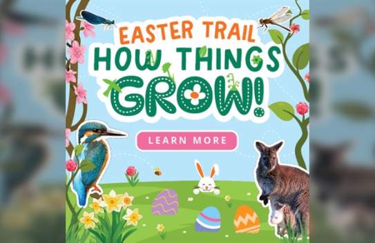 Easter at Leonardslee Lakes & Gardens: Spring Easter Trail: How Things Grow!