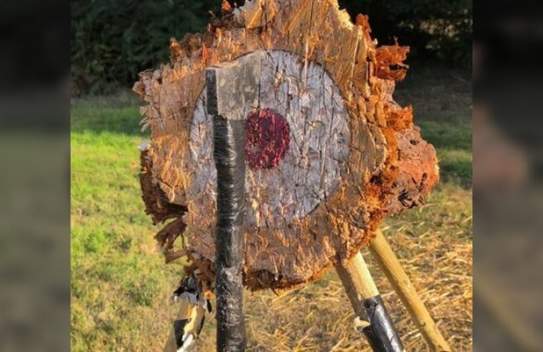 A Wild Day Out With Odin's Wolves