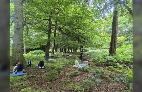 Forest Bathing