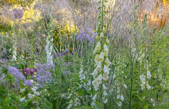 Summer Garden Tutorial