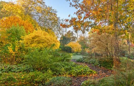 Autumn Garden Tutorial