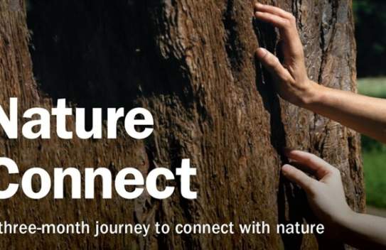 Nature Connect