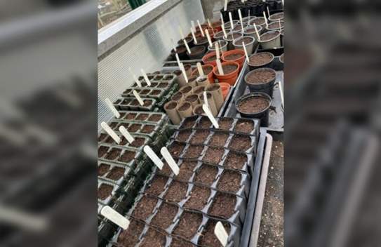 Propagation Workshop