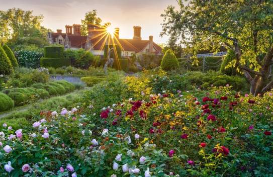Borde Hill Garden