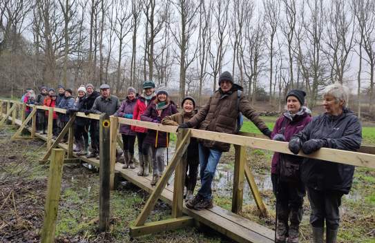 Guided Wellbeing Walks