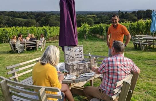 Beacon Down Vineyard