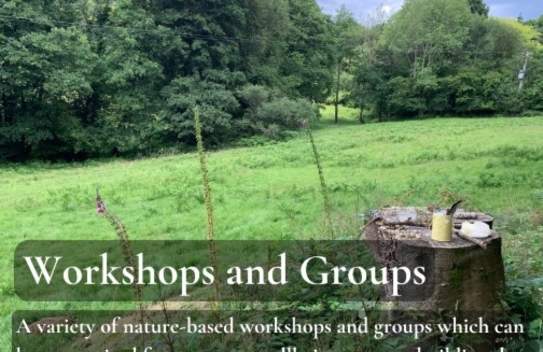 Wild Heart Woodland Connection