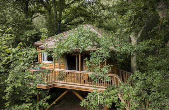 Downash Wood Treehouses