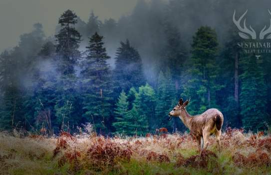 Sustainable Meat Eater