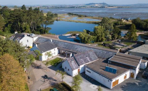 WWT Castle Espie Wetland Centre