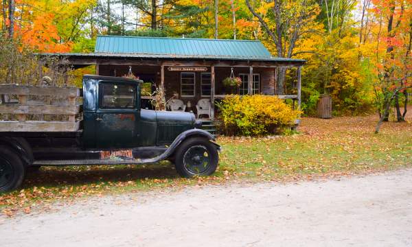 Wellington Farm Park
