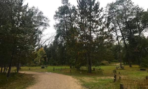 Manistee River Bridge State Forest Campground