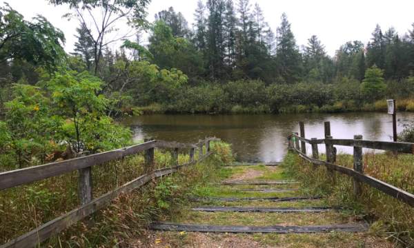 Upper Manistee River State Forest Campground