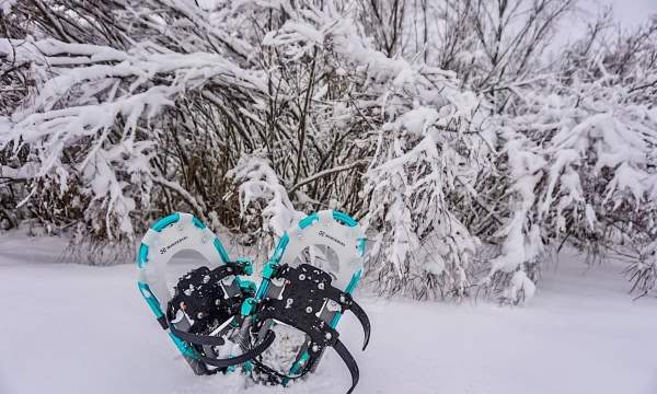 Hartwick Pines State Park, Visitors Center & Logging Museum