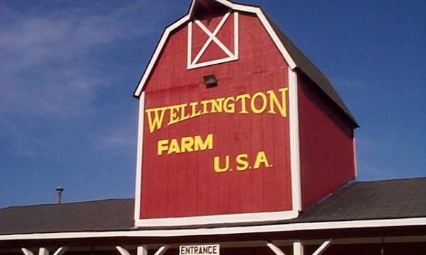Wellington Farm Park