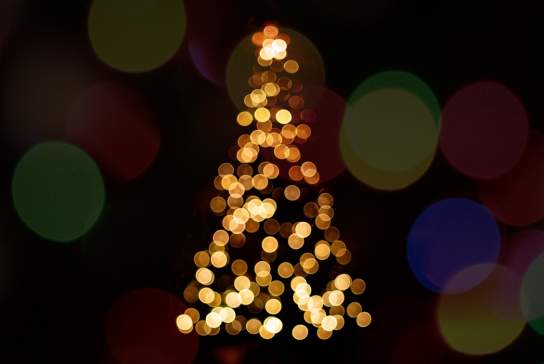 Hallé Carol Concerts