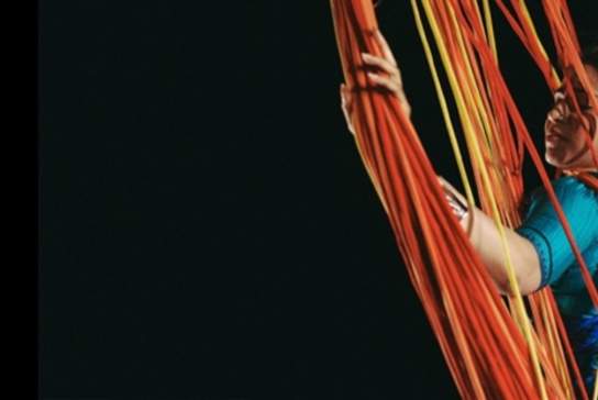 Chandenie Gobardhan's Caught Again In The Net of Rebirth and Payal Ramchandani's Just Enough Madness