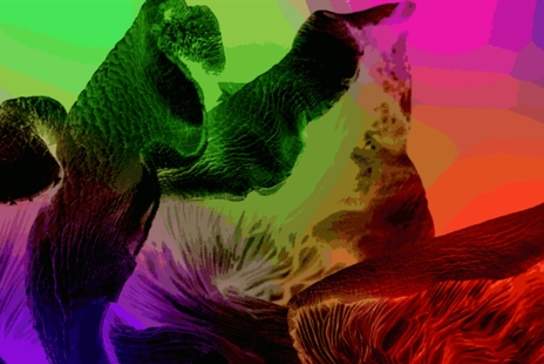 BSL exhibition tour of The Guardians of Living Matter