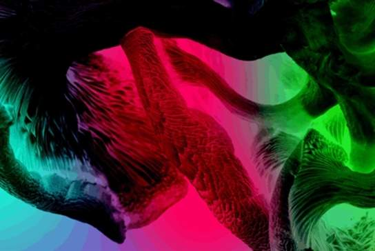 Audio Described exhibition tour of The Guardians of Living Matter