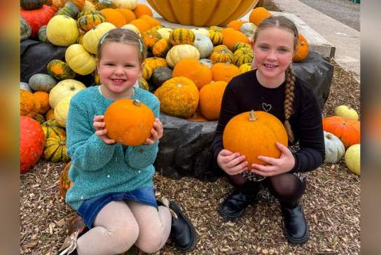 Pumpkin Fest