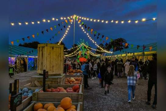 Pumpkin Fest Nights