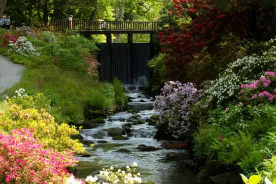 Bodnant Garden
