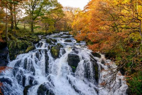 Taith Rhaeadr Ewynnol yng Nghoedwig Gwydir