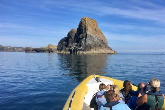 Gower Coast Adventures