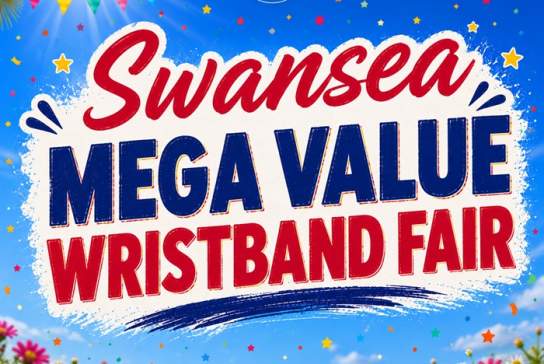 Swansea Mega Value Wristband Fair