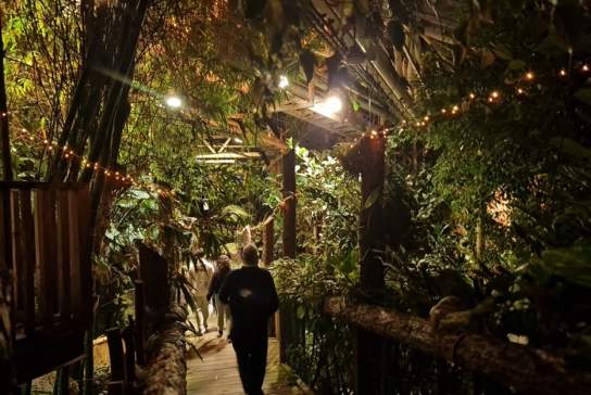 Jungle Escape at Plantasia Tropical Zoo