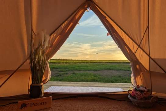 Panoramic Camping and Glamping