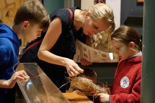Irish Linen Centre & Lisburn Museum