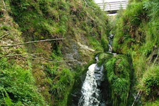 Gortin Forest Nature Trail