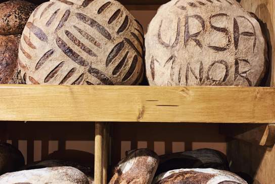 Ursa Minor Bakehouse