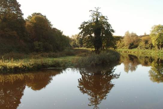 Lagan Towpath