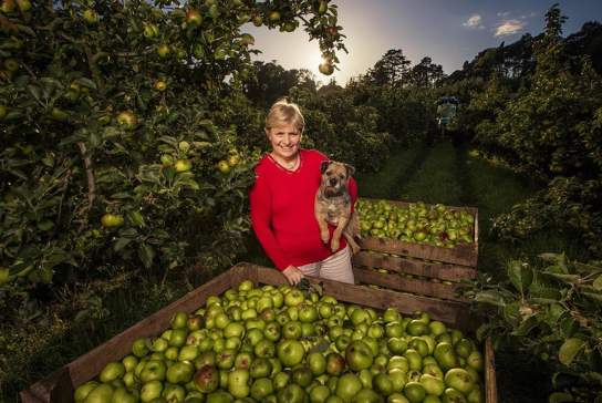 Armagh Cider Company