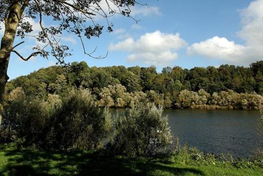 Mountsandel Wood
