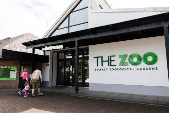 Belfast Zoo