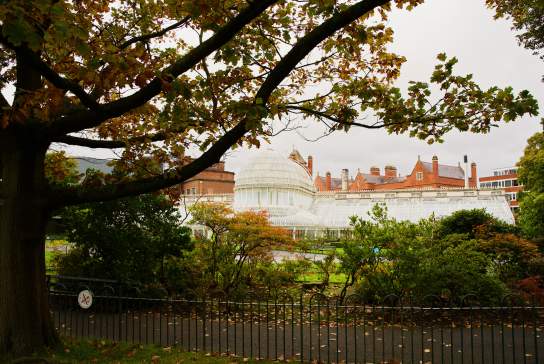 Belfast Botanic Gardens and Palm House